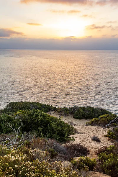 Sunririse over de vreedzame oceaan van klif met installaties — Stockfoto