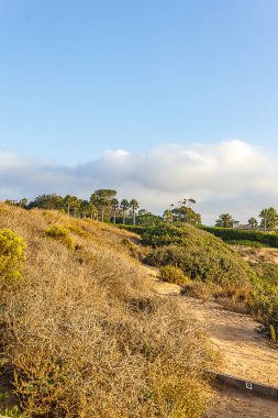 ekili bahçeler ve palmiye ağaçları ile yola doğru giden doğal bitki alanı ile sahil uçurum yolu,