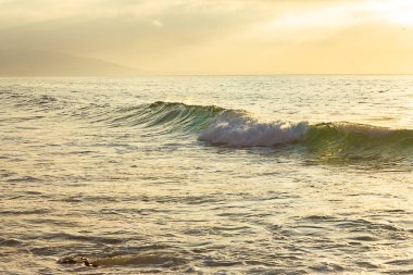 foming break ve backwash, yarı saydam sarı ve yeşil okyanus genişlik üzerinde foming ile oluşturan kıvırma dalgası