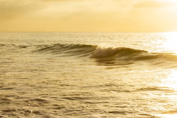 Onda de ondulação formando com fomento de ruptura e retrolavagem em um oean amarelo — Fotografia de Stock