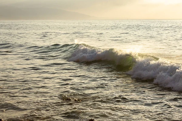 Schäumendes, brechendes Rohr einer Welle mit Backspray auf einer strukturierten Meeresfläche — Stockfoto
