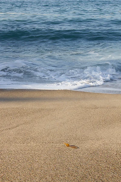 Вспененная волна и вспененная пена на песчаном берегу — стоковое фото