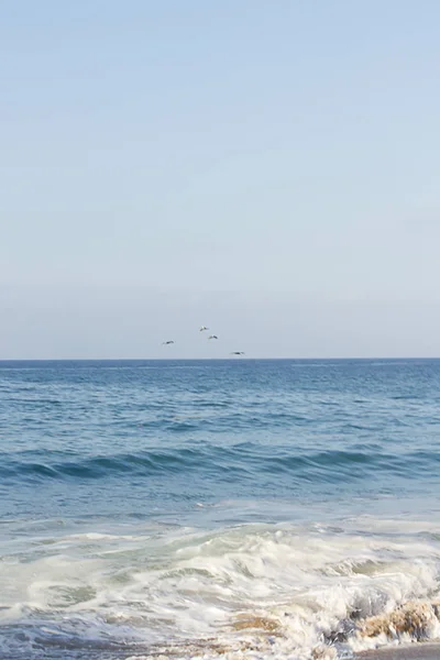 Distesa aperta di acqua blu evidenziata da uno stormo di pellicani che volano alla luce del sole — Foto Stock