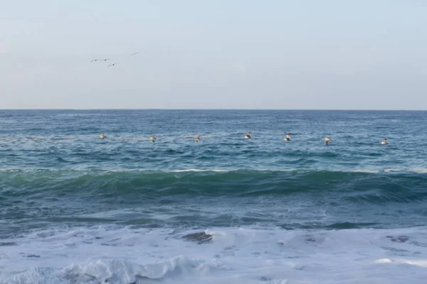 Spritzende Welle bricht aus anschwellender Welle im Rückstauschschaum am Sandstrand — Stockfoto