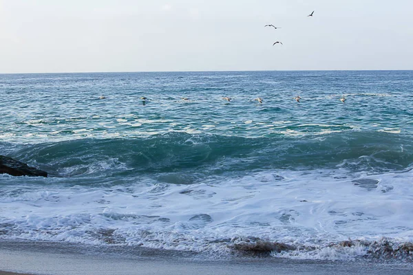 Schaumstoff in der Rückspülung, der in eine anschwellende Welle mit Meeresvögeln auf dem Wasser und in der Luft übergeht — Stockfoto