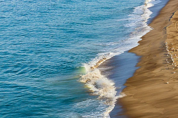 foaming wave breaking on sandy shoreline with flock of seagulls