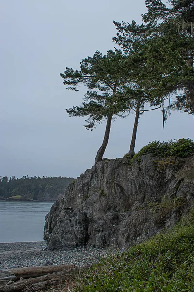 Falaises lointaines sur un grand plan d'eau couvert d'arbres — Photo