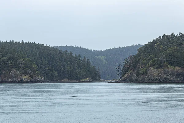 Falaises lointaines sur un grand plan d'eau recouvert de grands arbres verts — Photo