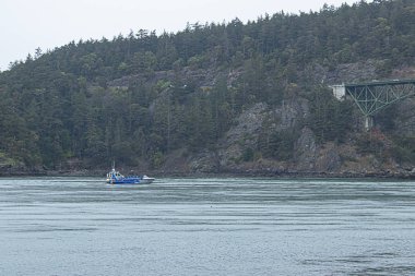 kıyı şeridi boyunca giden yeşil kemerli köprü ile kayalıklar