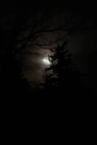 Thin whispy clouds over a bright full moon — Stock Photo, Image