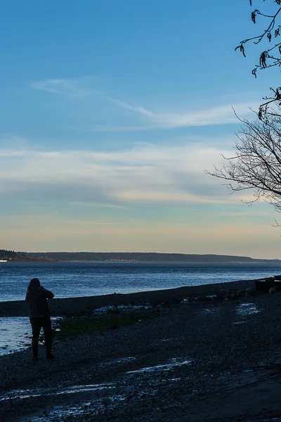 나무와 황혼에 해변에서 사진 작가 — 스톡 사진