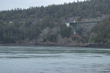 boşluğu geçen bir köprü ile uzak ormanlık sahil kayalıkları