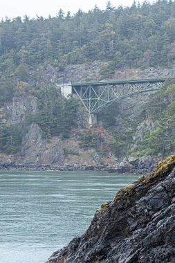 Su gövdesinin arka planda yeşil kemerli köprü