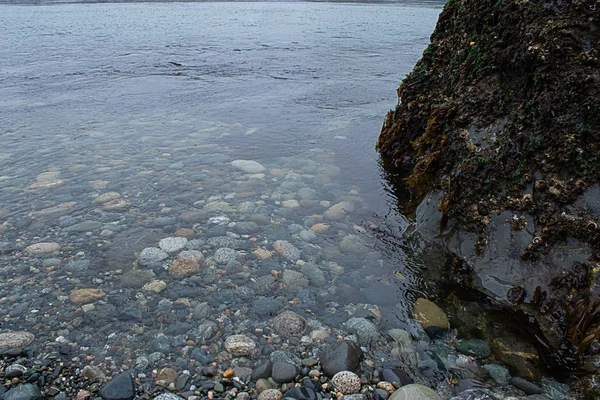 Large boulder sticking out of water on a beach filled with small pebbles — Stock Photo, Image