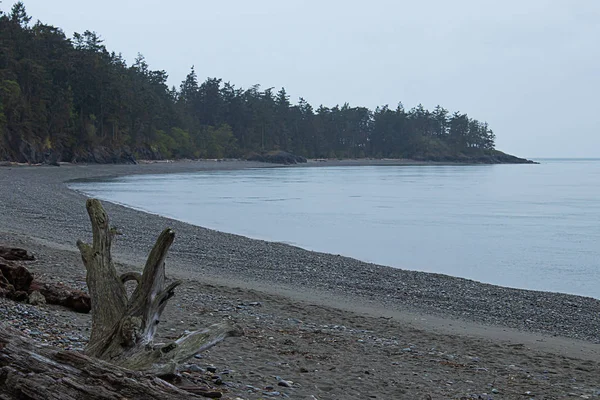 Bogen aus Ufer und Bäumen in Western Washington — Stockfoto