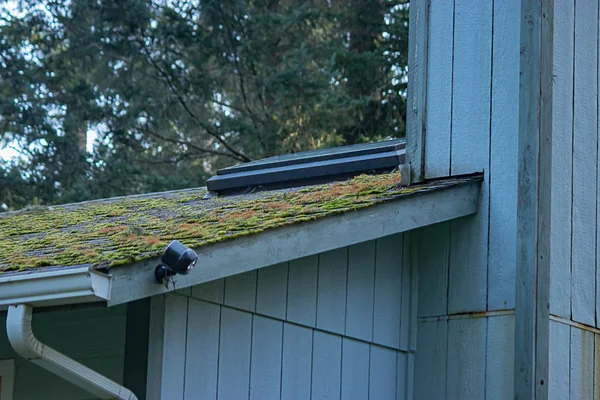 Croissance verte mousseuse sur la ligne de toit de la vieille maison bleue — Photo