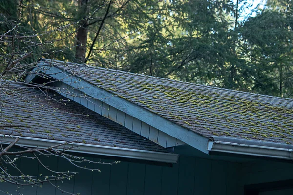 Mohás zöld növekedés a tetővonal a régi ház — Stock Fotó