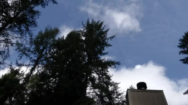 Céu azul se movendo através de topos de árvores escuras e topo de casa no verão — Vídeo de Stock