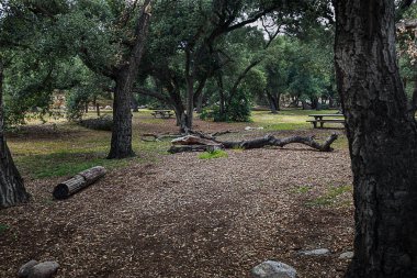 california canlı meşe ağaçları, kayalar ve ot otlar ile açık kuru doğal park