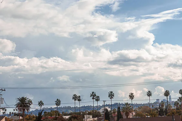 푸른 하늘과 거대한 구름에 대한 야자수와 도시 풍경 — 스톡 사진