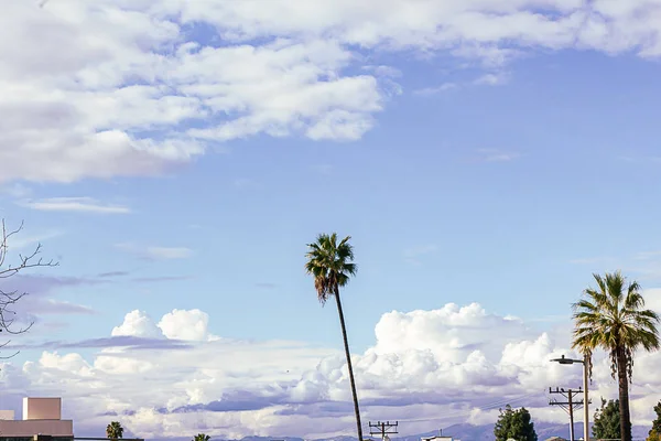 Pálmafák háztetőkkel, fák és elektromos vezetékek eltörpül a nagy kék eget hatalmas bolyhos felhők — Stock Fotó