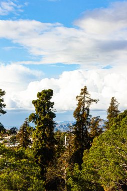 bulutlar ile binalar mavi gökyüzü ile disiduous ve dökmeyen ağaçlar