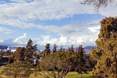 cloudscape ile şehre bakan çim üzerinde dökmeyen ve ikiyüzlü ağaçlar
