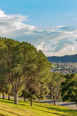 binaların ve yamaç evlerinin panaramik görünümü ile dökmeyen ağaçlar