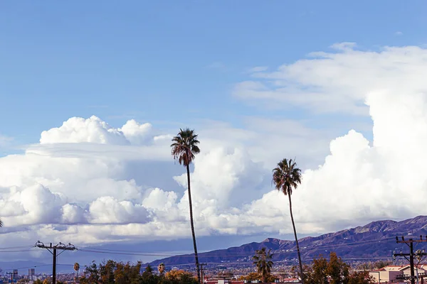 Pálmafák háztetőkkel, fák és elektromos vezetékek eltörpül a nagy kék eget hatalmas bolyhos felhők — Stock Fotó