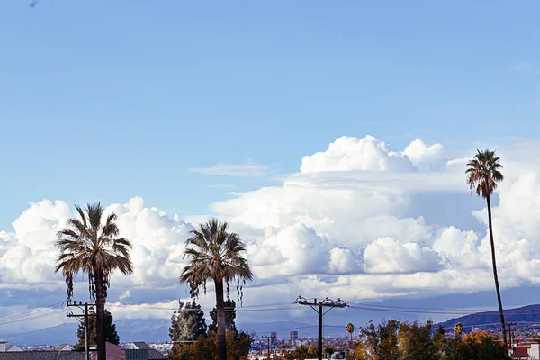 Φοίνικες με κορυφές σπίτι, δέντρα και ηλεκτρικά καλώδια που επισκιάζει από μεγάλο γαλάζιο ουρανό με γιγαντιαία αφράτα σύννεφα — Φωτογραφία Αρχείου
