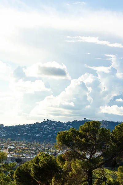 Αειθαλή δέντρα με θέα τα κτήρια και τα σπίτια στην πλαγιά του λόφου — Φωτογραφία Αρχείου