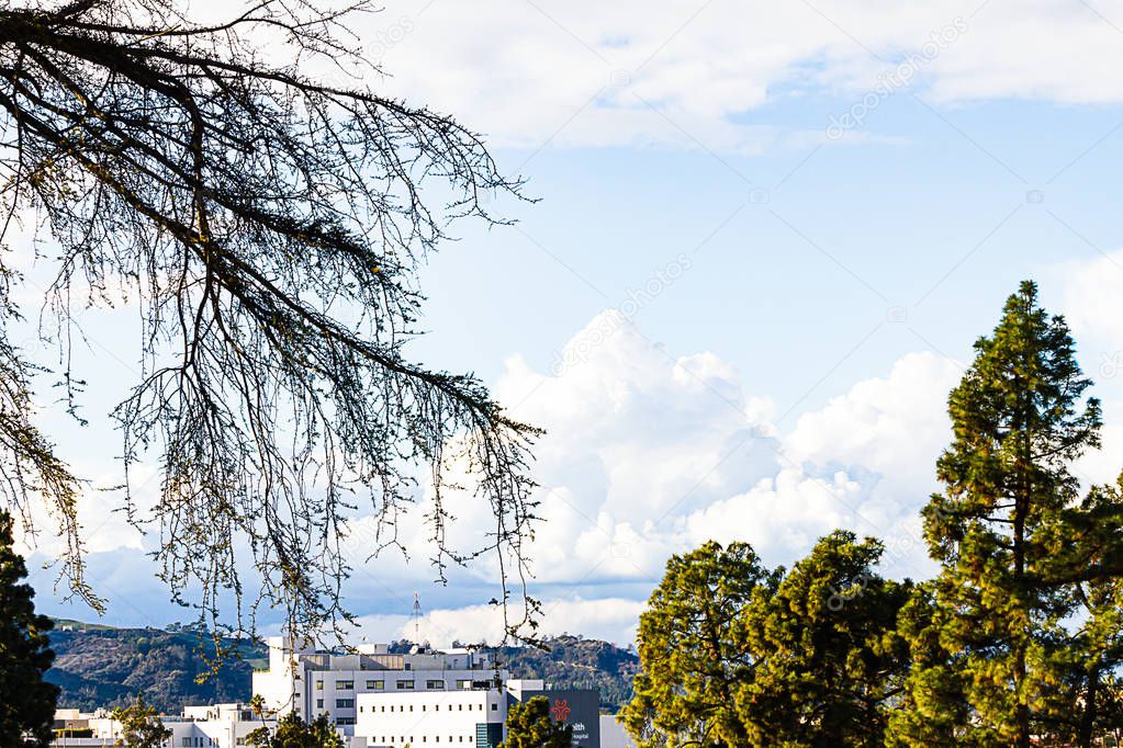 city scape with evergreen and disiduous trees with hills and cloudy blue sky