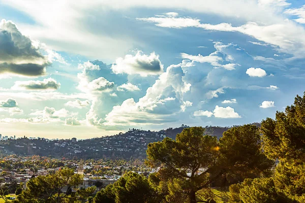 Immergrüne Bäume mit panoramischem Blick auf Gebäude und Häuser am Hang — Stockfoto