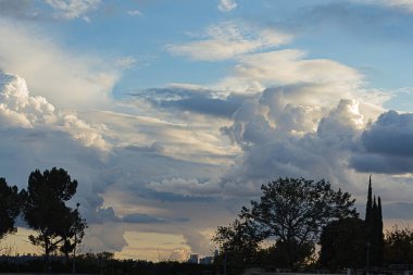 dalgalanan kümülüs nimbus bulutlarına karşı kuleleri ile ağaçlar ve çalılar silouette 