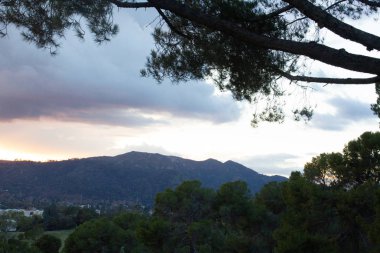 çam ağacı dalları ve yeşillik uzak yamaç evleri ve parlak altın parıltı ile günbatımı bulutu ile