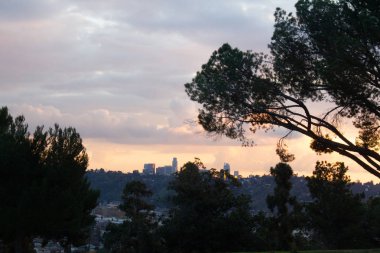 çam ağacı dalları ve yeşillik uzak yamaç evleri ve günbatımı bulut şehir kuleleri pembe parlaklık ile