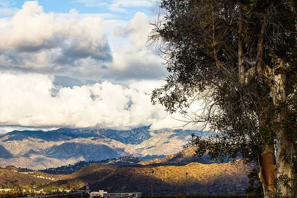 Drzewo eukaliptusowe na zboczu wzgórza z widokiem na domy, drogi i góry z chmurami — Zdjęcie stockowe