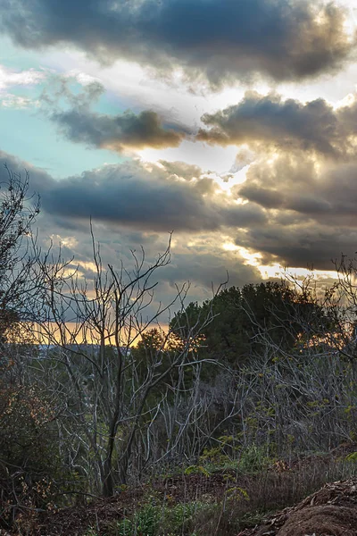 Shrubbery op de top van de heuvel met brandschade met zilver gevoerde wolken — Stockfoto