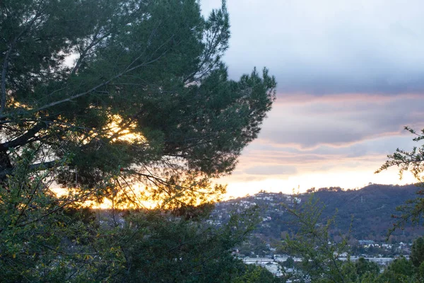 Äste und Laub von Kiefern mit weit entfernten Häusern am Hang und Wolkenrändern bei Sonnenuntergang — Stockfoto