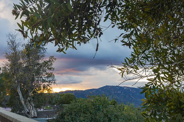 Ściana tarasu z ogrodem liści z widokiem na wzgórza i rozległy zachód słońca — Zdjęcie stockowe