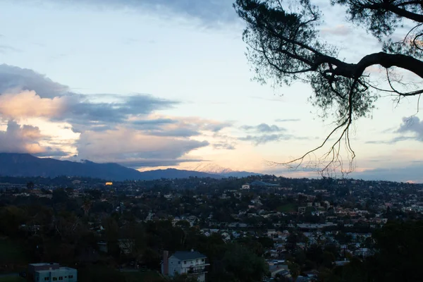 Tall trädgrenar och lövverk med avlägsna sluttningar hem och solnedgång moln edgesand berg Range — Stockfoto