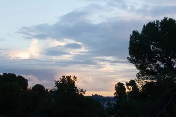 Dennenboom takken en loof met verre heuvel huizen en Sunset Cloud met heldere gouden gloed — Stockfoto