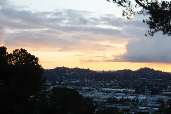 Silhouette de pin avec ville tentaculaire flanc de colline avec des tours de ville et le coucher de soleil doré lueur — Photo