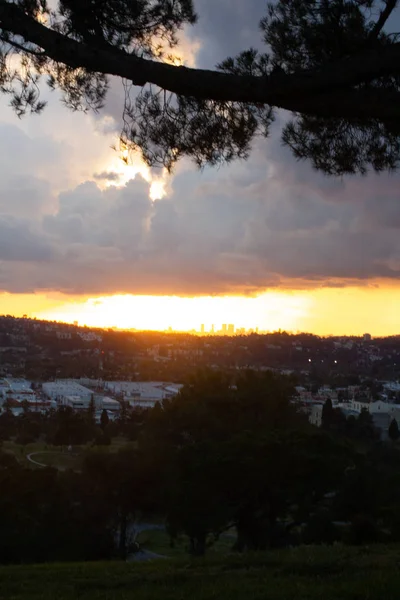 Silhouet van Pine Tree met stad te wildgroei heuvelrug met stads torens en gouden zonsondergang gloed — Stockfoto