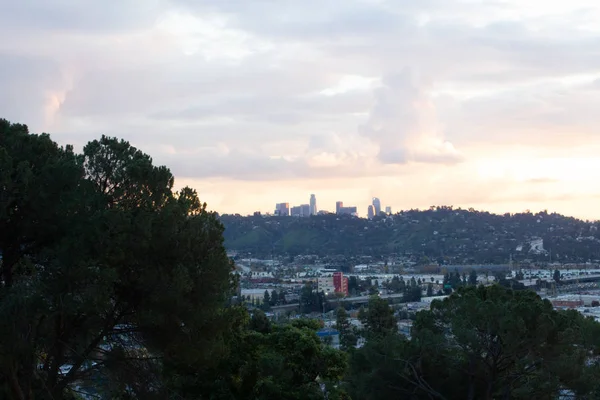 Pine tree branches and foliage with distant hillside homes and sunset cloud with bright golden glow around city towers — Stock Photo, Image