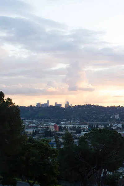 Branches et feuillage de pins avec des maisons éloignées à flanc de colline et nuage de coucher de soleil avec une lueur dorée brillante autour des tours de la ville — Photo