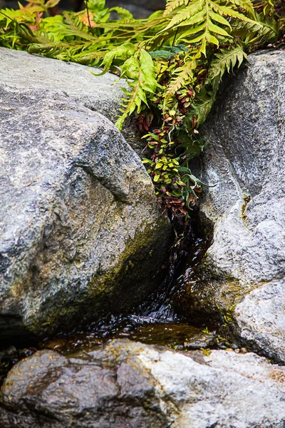 Granite rocks with water trickling down the rock face to small pool — Stock Photo, Image