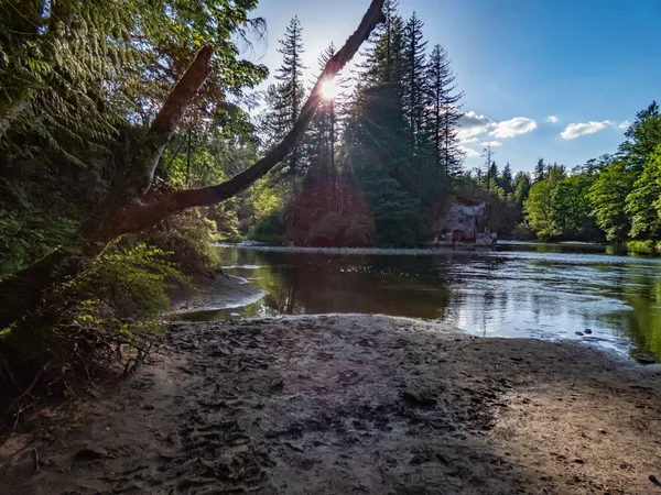 Green River i Washington State flyter förbi skog och sandstrand — Stockfoto