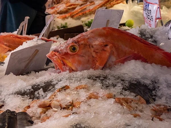 Peixe vermelho sentado no gelo e peixe congelado no mercado — Fotografia de Stock