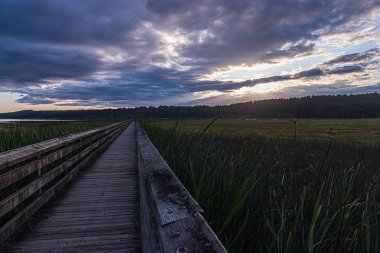 bulutlu bir gün batımı altında yemyeşil sulak alanlar boyunca uzanan uzun ahşap tahta kaldırım